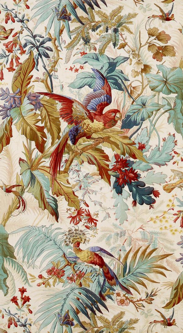 Oiseaux & battements d'ailes | Alsace 1875